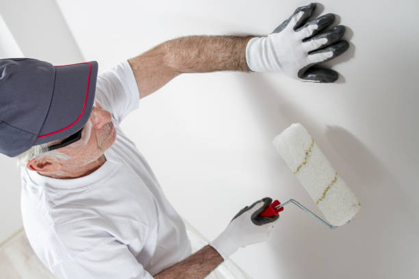 Best Post-Construction Mold Inspection  in Thatcher, AZ
