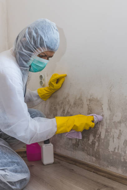 Best Air Quality Testing for Mold Spores  in Thatcher, AZ