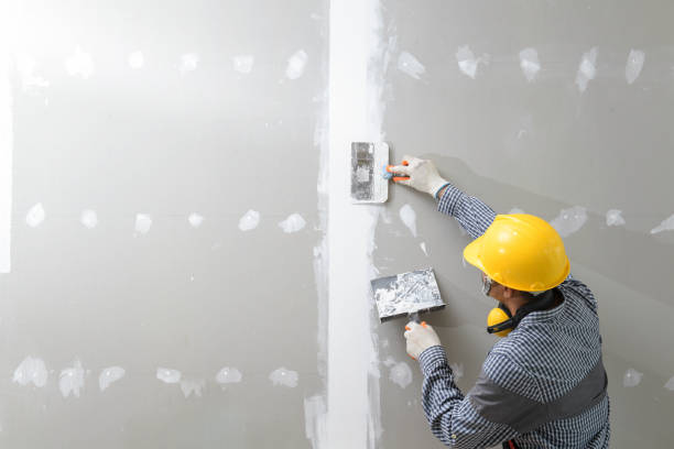 Best Mold Prevention Services  in Thatcher, AZ