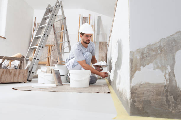Best Attic Mold Removal  in Thatcher, AZ