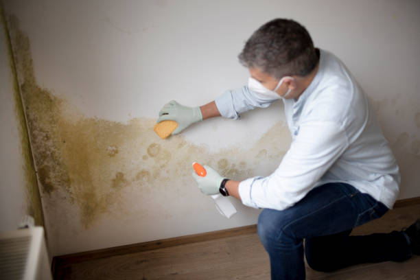 Best Post-Remediation Verification Testing  in Thatcher, AZ