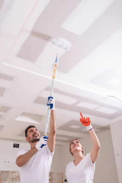 Best Mold Documentation for Insurance Claims  in Thatcher, AZ