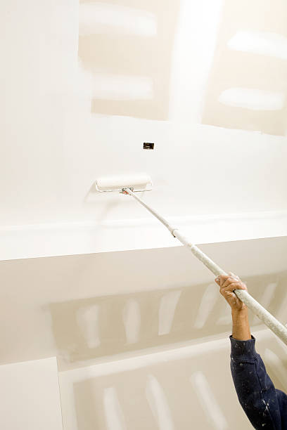  Thatcher, AZ Mold Removal Pros