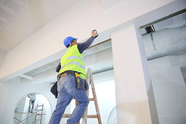 Best Mold Damage Restoration  in Thatcher, AZ