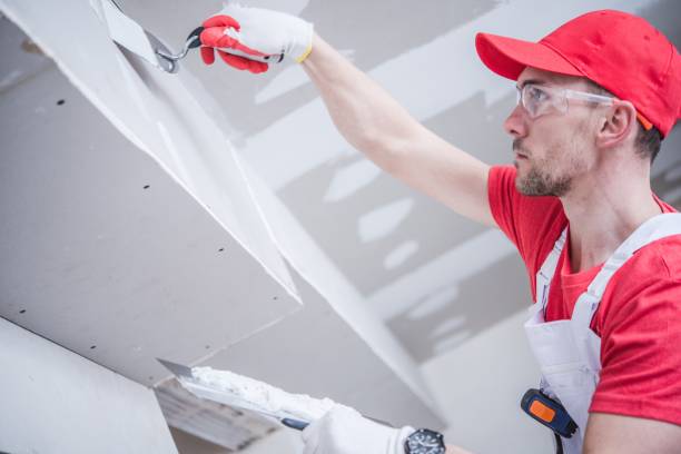 Best Mold Remediation for Healthcare Facilities  in Thatcher, AZ